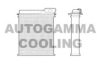 AUTOGAMMA 101613 Heat Exchanger, interior heating